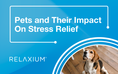 Pets and Their Impact On Stress Relief