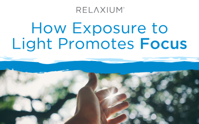 How Exposure to Light Promotes Focus