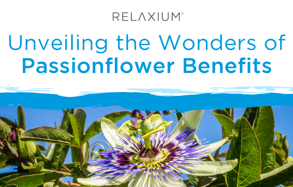 Relaxium® | Unveiling the Wonders of Passionflower Benefits