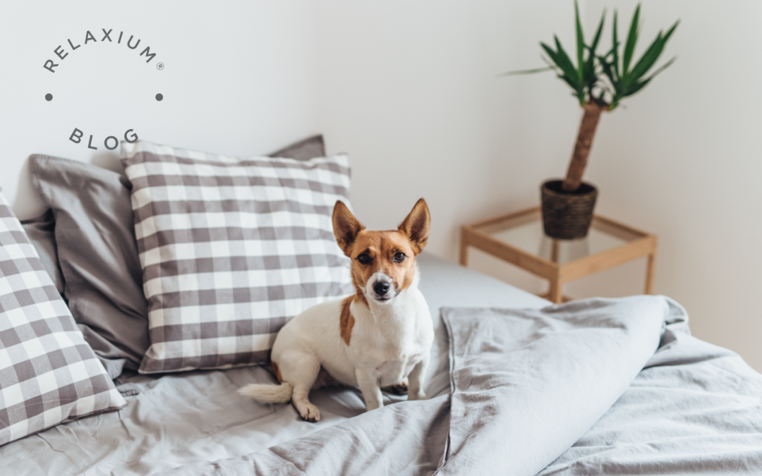 Warm vs. Cool: Finding The Right Bedding for Winter Comfort