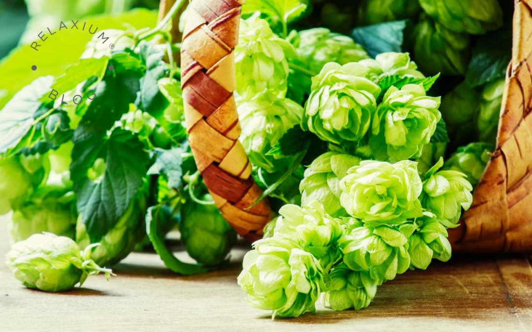 How Hops Can Help You Drift Off to Sleep